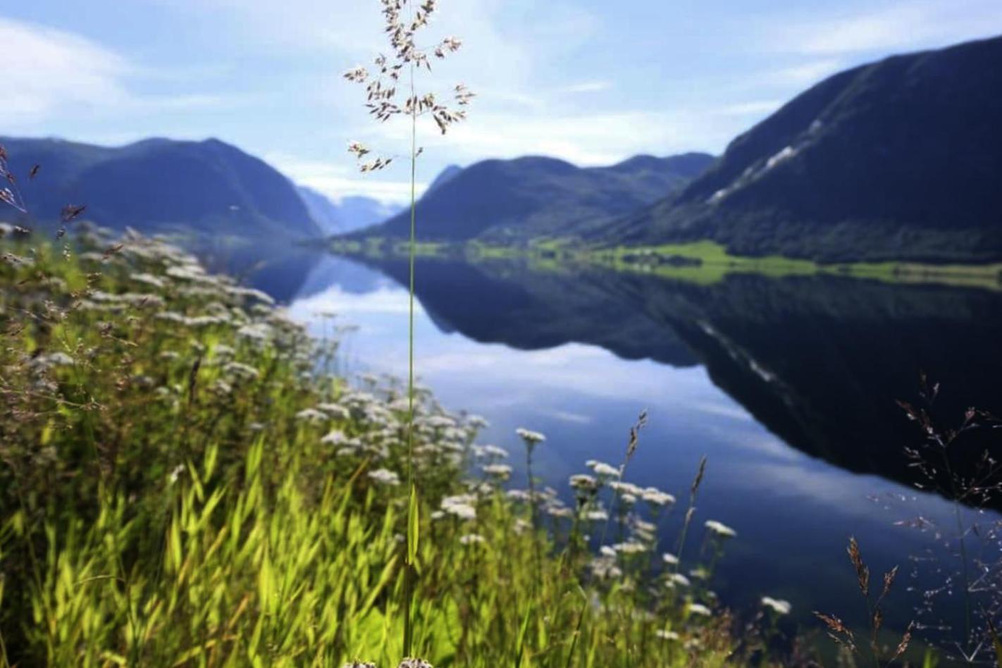 Jolster Lake View Årdal 외부 사진